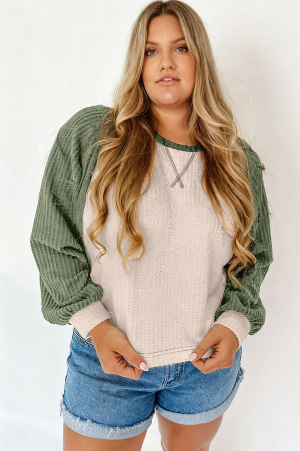Back view of waffle colorblock long sleeve plus size top