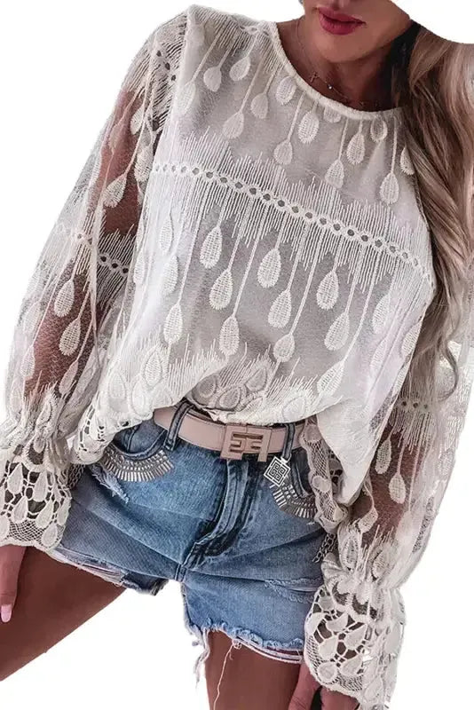 Beige Embroidered Mesh Flounce Sleeve Blouse - Fashionfitz