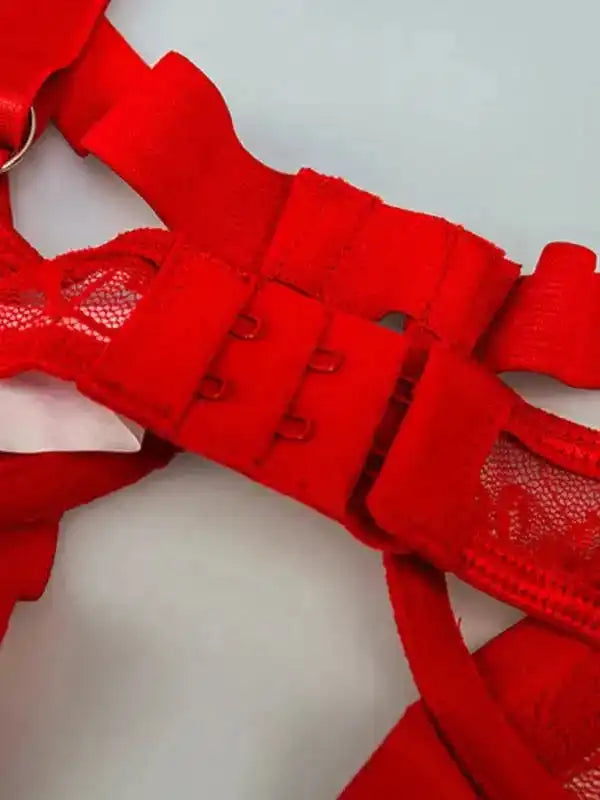 Desire Lace One-piece Garter Lingerie - Fashionfitz