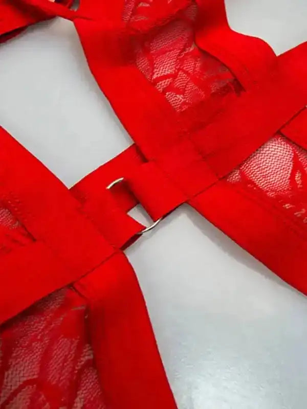 Desire Lace One-piece Garter Lingerie - Fashionfitz