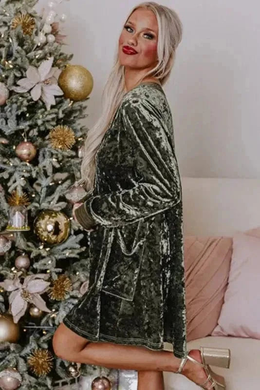 Mini Dresses Serenity Velvet Dress