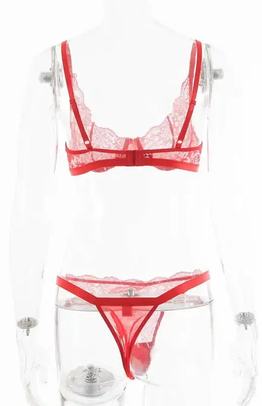 Your Favorite Ex - Lace Lingerie Set - Fashionfitz