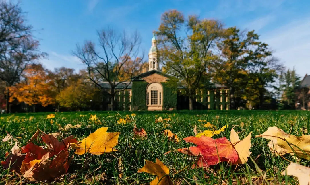 Colorful fall leaves on a lawn near a historic building, perfect for trendy preppy outfits for women