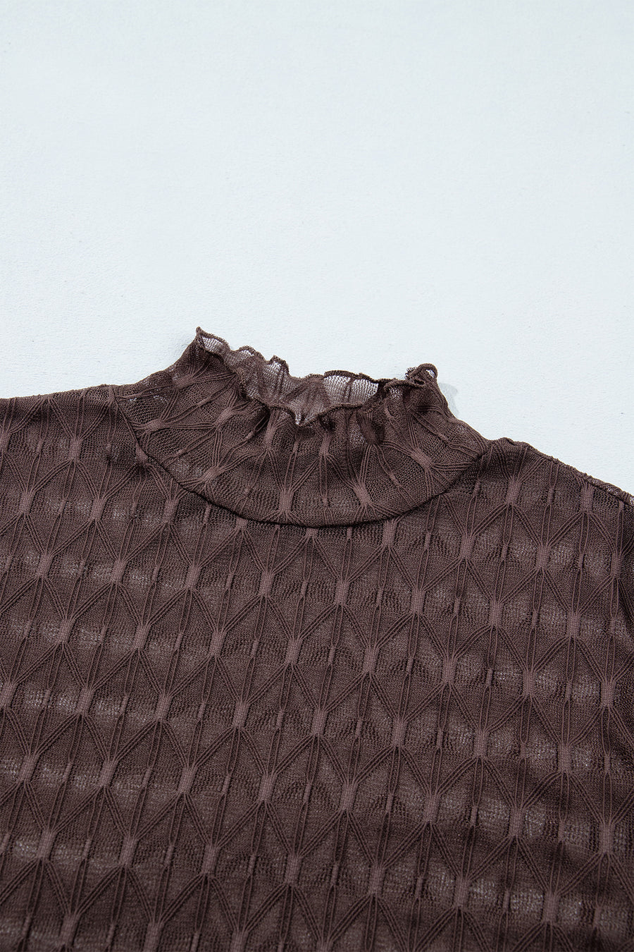 Chicory Coffee Sheer Textured Lace Stand Neck Long Sleeve Top