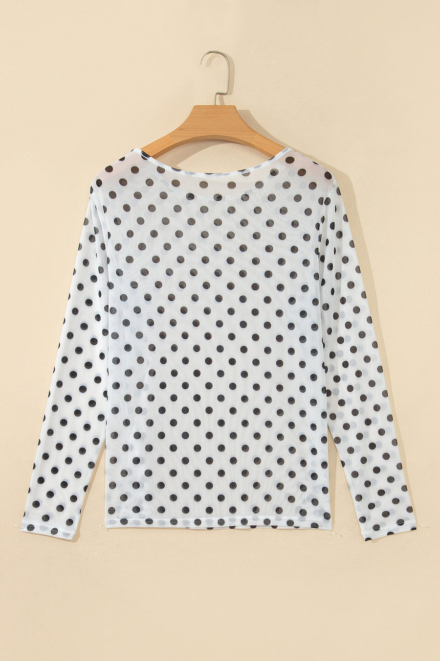 Polka Dot Sheer Mesh Long Sleeve Round Neck Top