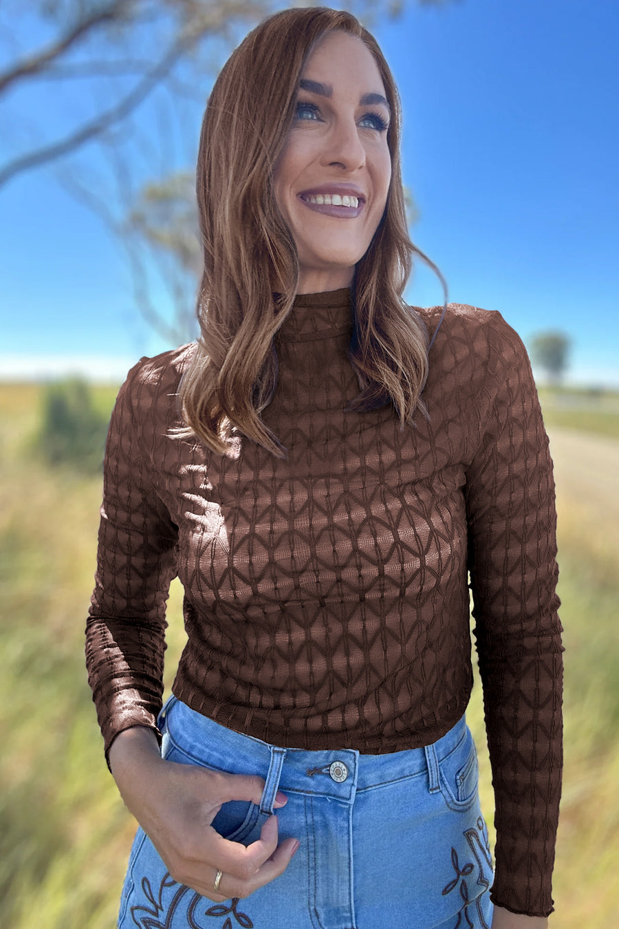Chicory Coffee Sheer Textured Lace Stand Neck Long Sleeve Top