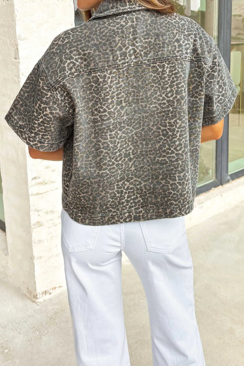 Back view of Gray Leopard Short Sleeve Denim Shirt showing classic Western shirt construction and button-down — Fashionfitz