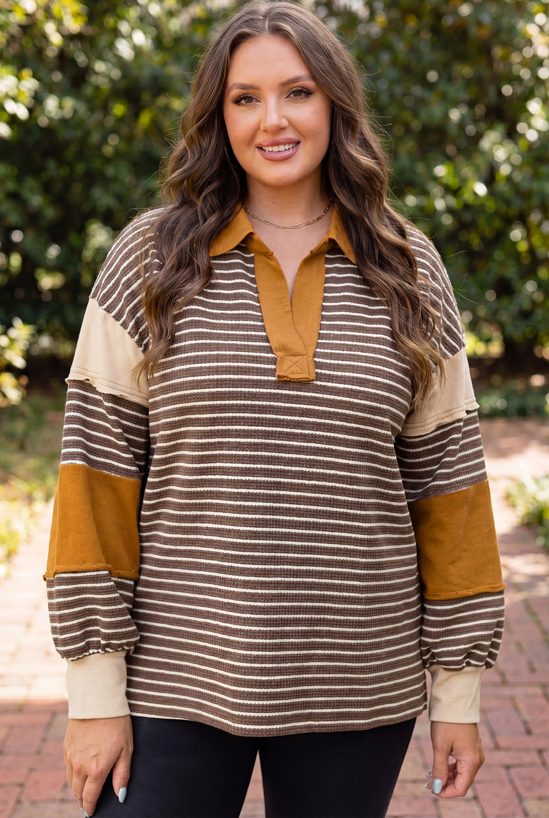 Brown stripe colorblock plus size top — side view showing collar detail