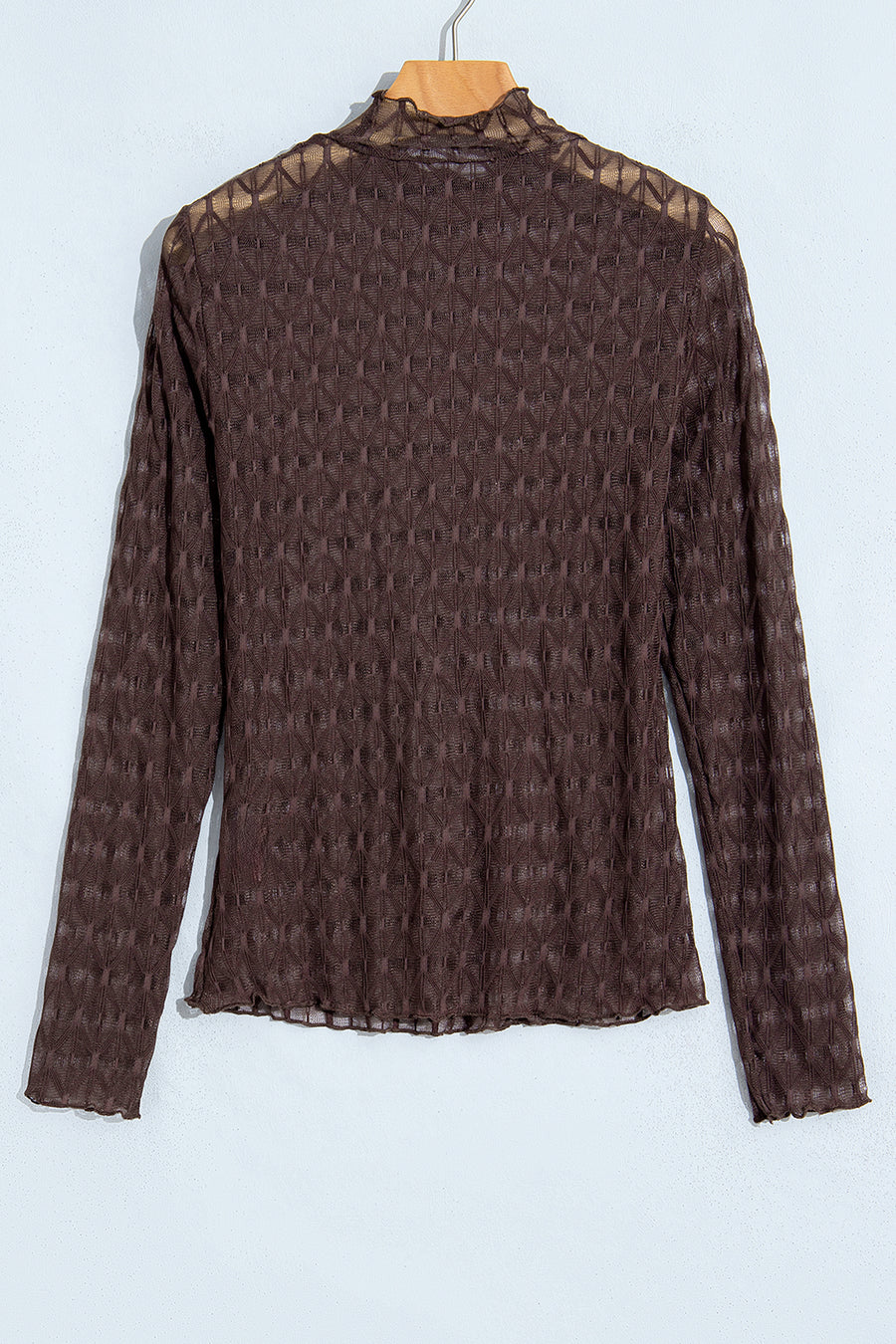 Chicory Coffee Sheer Textured Lace Stand Neck Long Sleeve Top