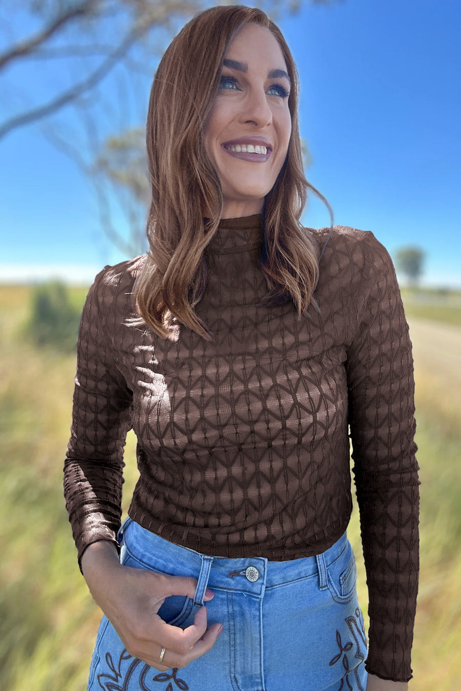 Chicory Coffee Sheer Textured Lace Stand Neck Long Sleeve Top