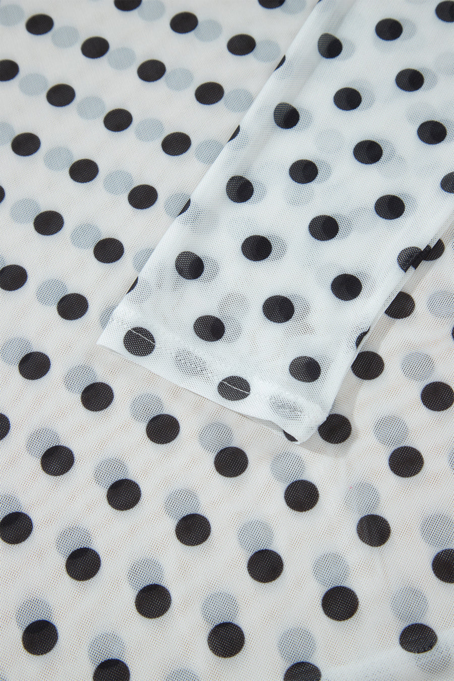 Polka Dot Sheer Mesh Long Sleeve Round Neck Top