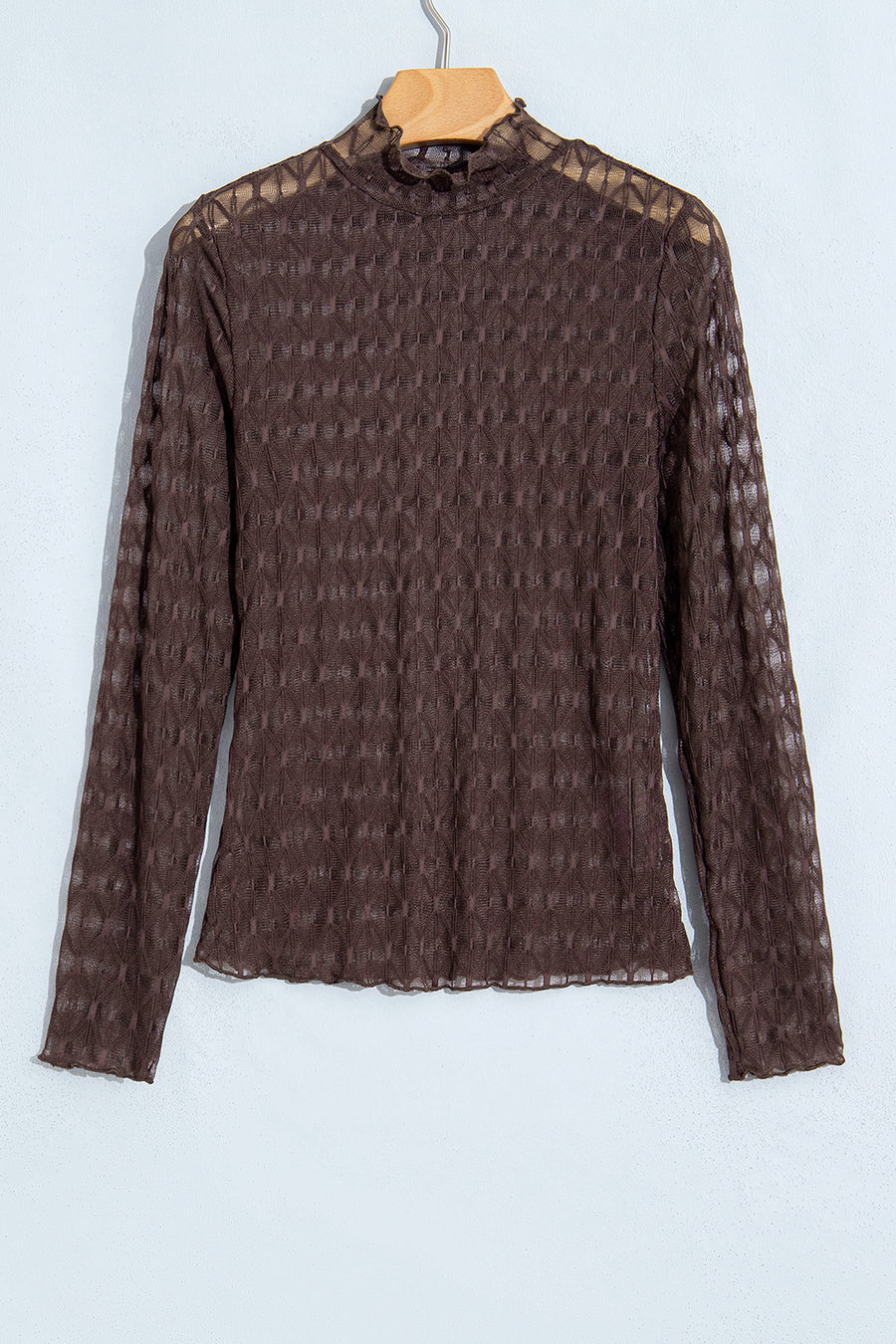 Chicory Coffee Sheer Textured Lace Stand Neck Long Sleeve Top
