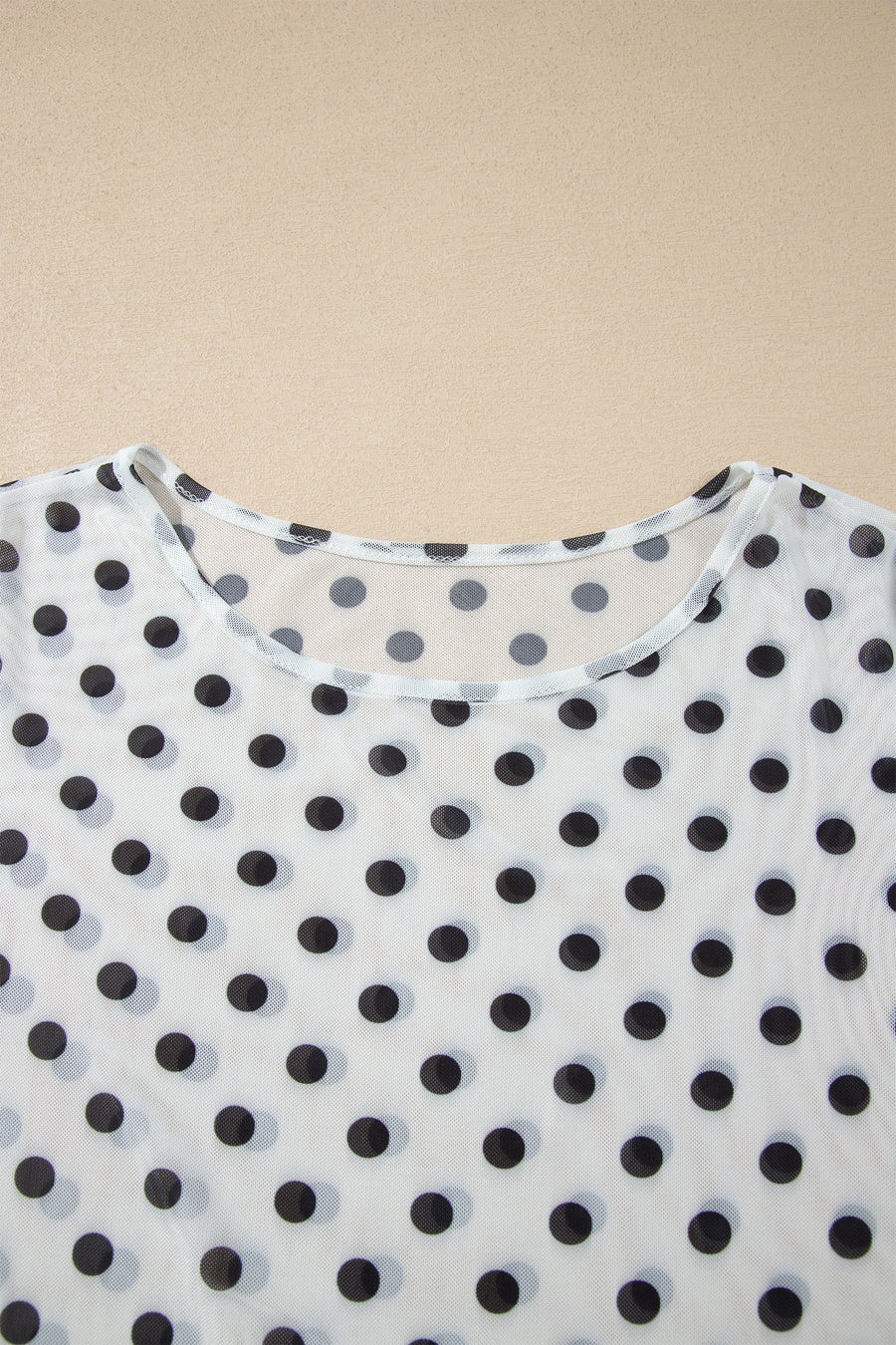 Polka Dot Sheer Mesh Long Sleeve Round Neck Top