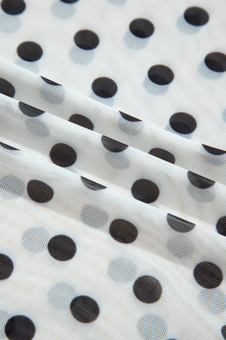 Polka Dot Sheer Mesh Long Sleeve Round Neck Top