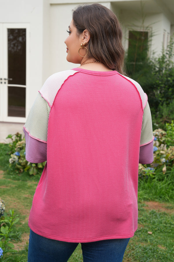 Back view of twist rib colorblock Henley plus size short sleeve top