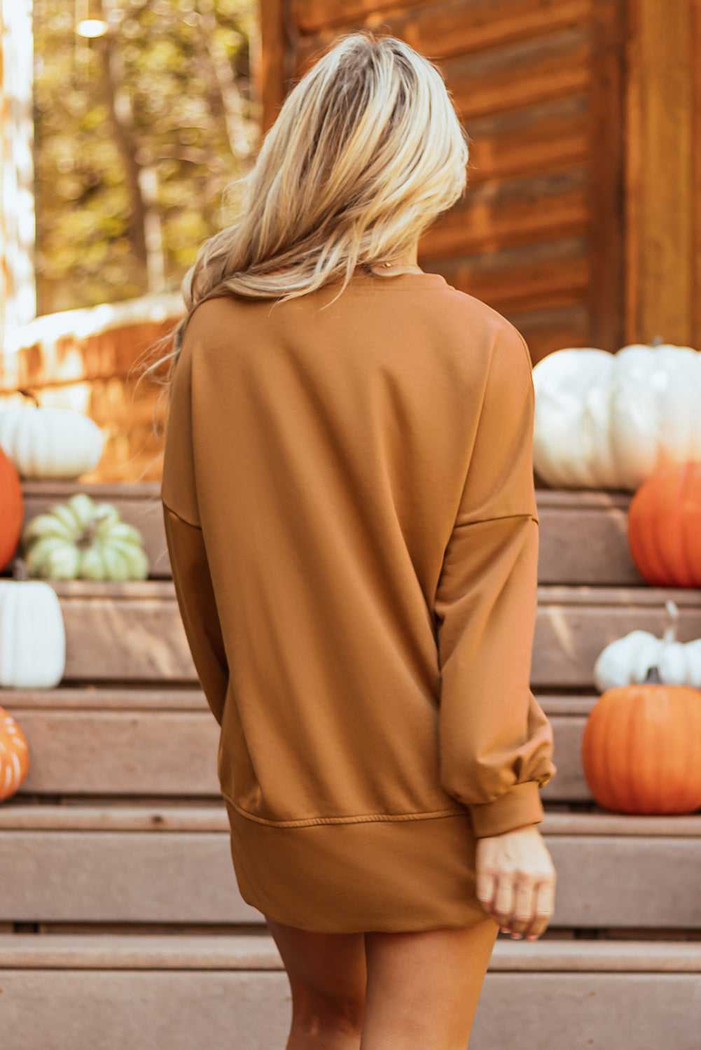 Back view of chestnut Sequin Halloween Graphic Top showing relaxed fit and long sleeves, ideal for cozy autumn style.