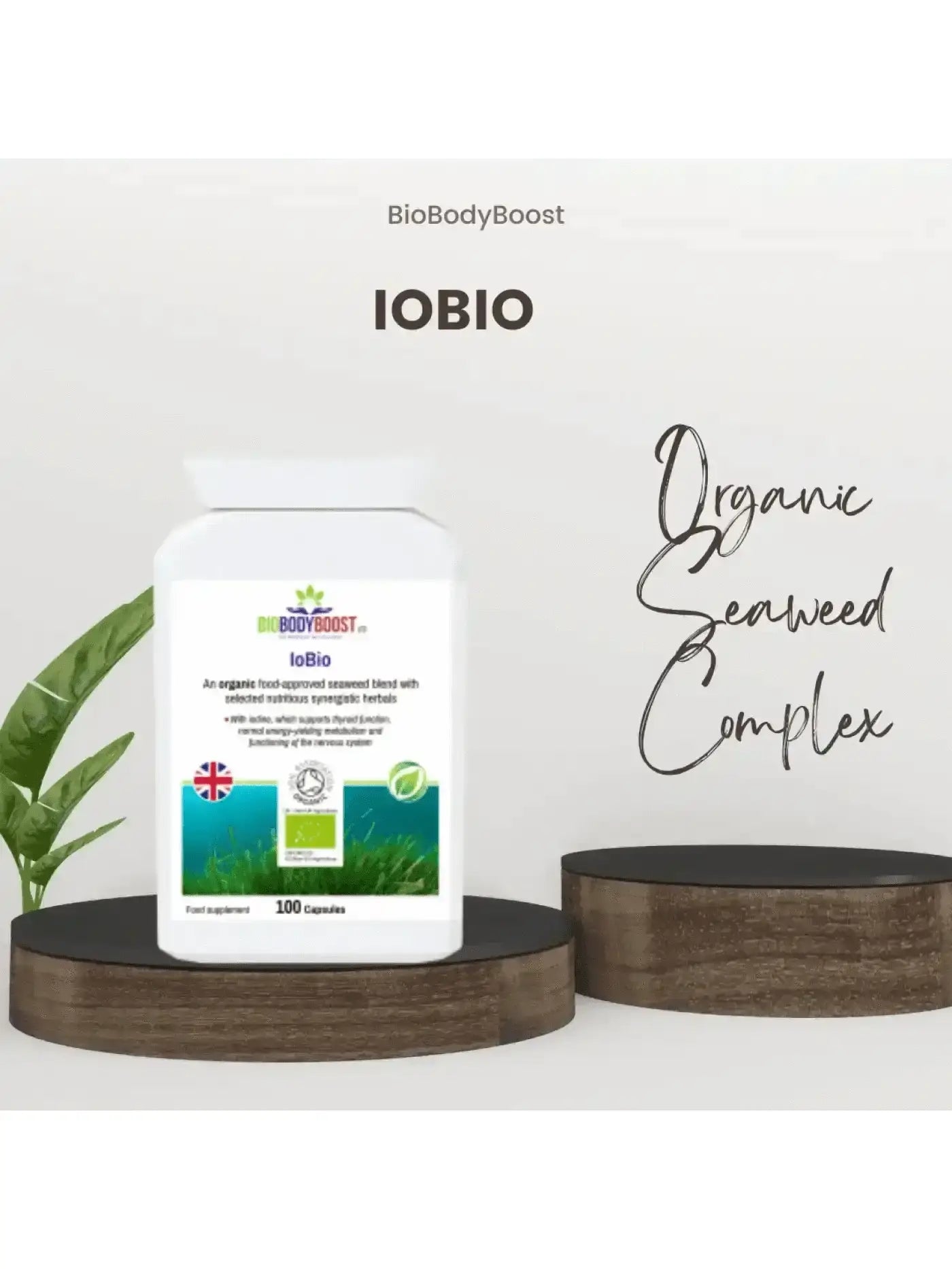 BioBodyBoost Travel Supplements Bundle contents — three plant-based supplements for immunity, digestion and energy
