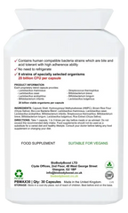 BioTic 20 Billion - Vegan Probiotic - Fashionfitz