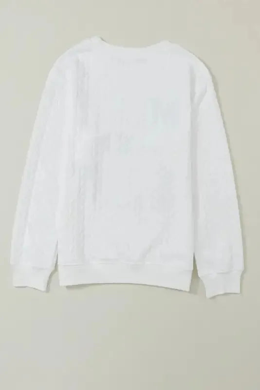 Chenille Embroidered Sweatshirt - Fashionfitz