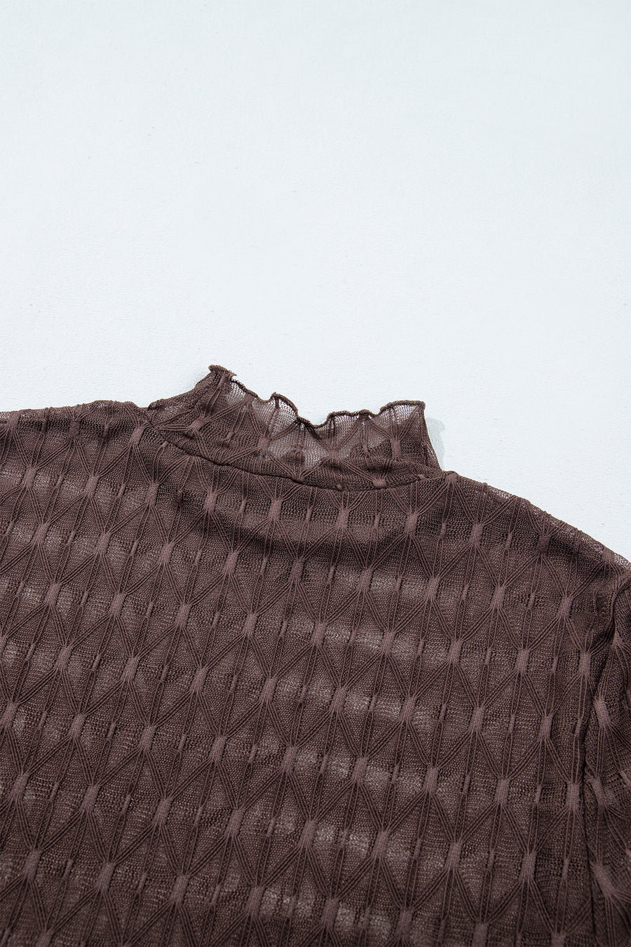 Chicory Coffee Sheer Textured Lace Stand Neck Long Sleeve Top