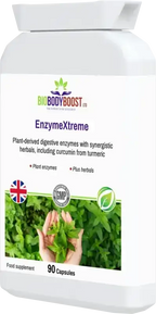 EnzymeXtreme - Plant Derived Digestive Enzymes - Fashionfitz