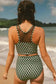 Bikinis Plaid High Waist Bikini - Dotted Mesh Patchwork