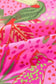Blouses Safari Chic Floral Blouse