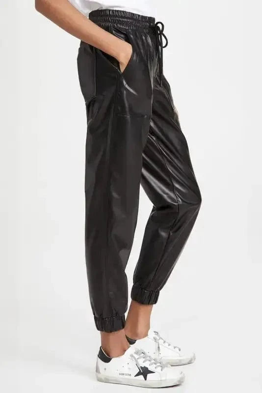 Leather Pants Posh Trotter Faux Leather Pants