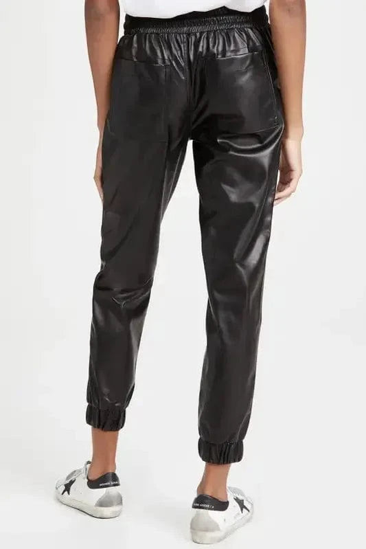 Leather Pants Posh Trotter Faux Leather Pants