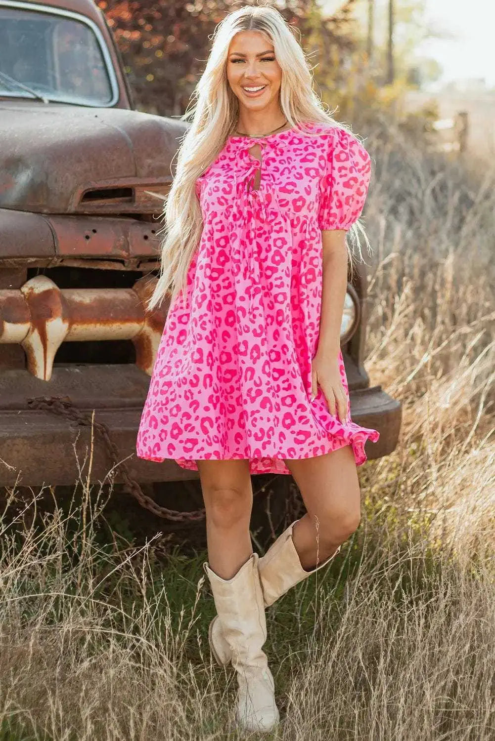 Mini Dresses Rose Leopard Chic Dress