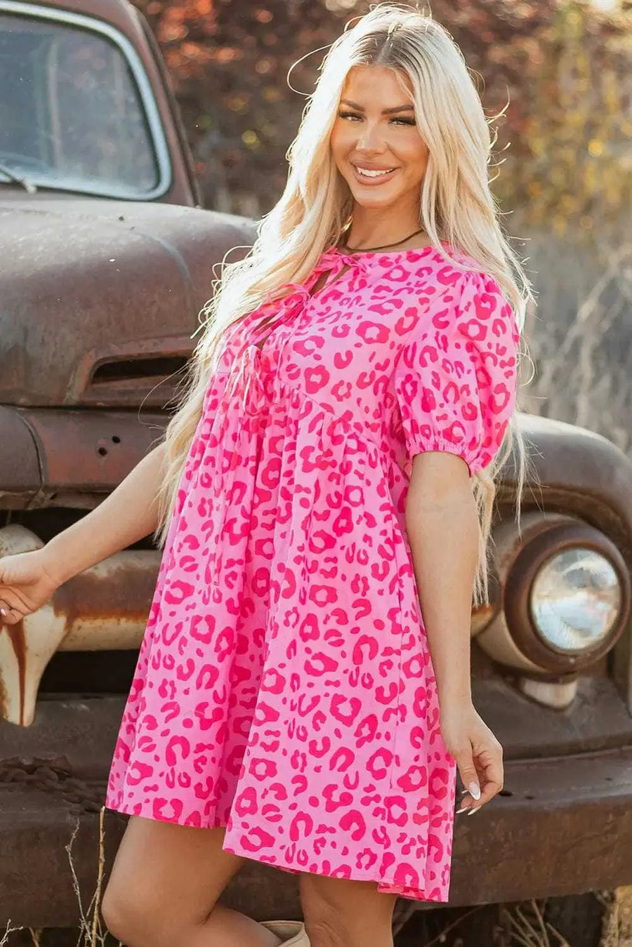 Mini Dresses Rose Leopard Chic Dress