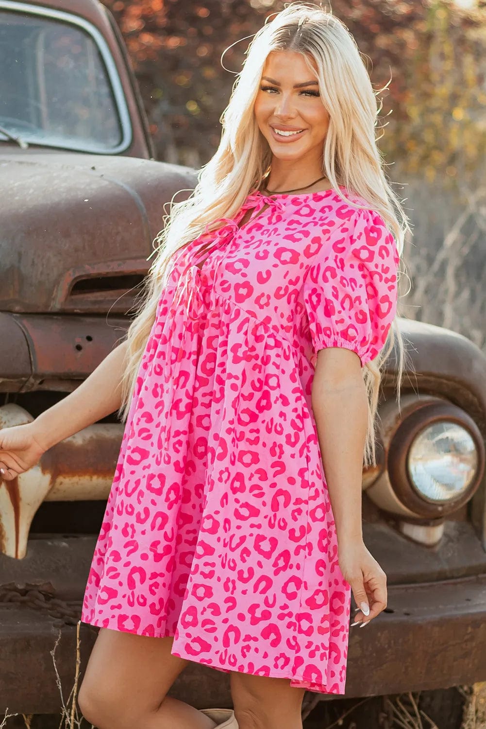 Mini Dresses Rose Leopard Chic Dress