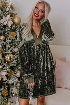 Mini Dresses Serenity Velvet Dress