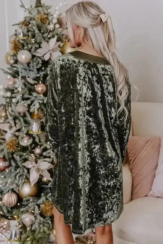 Mini Dresses Serenity Velvet Dress