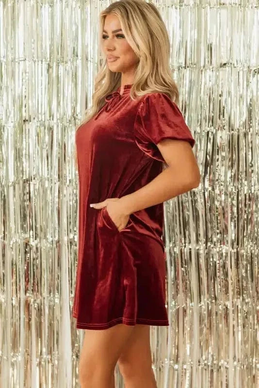 Mini Dresses Velvet Vogue Puff Mini Dress