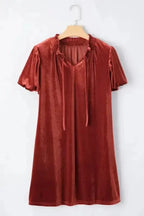 Mini Dresses Velvet Vogue Puff Mini Dress