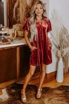 Mini Dresses Velvet Vogue Puff Mini Dress