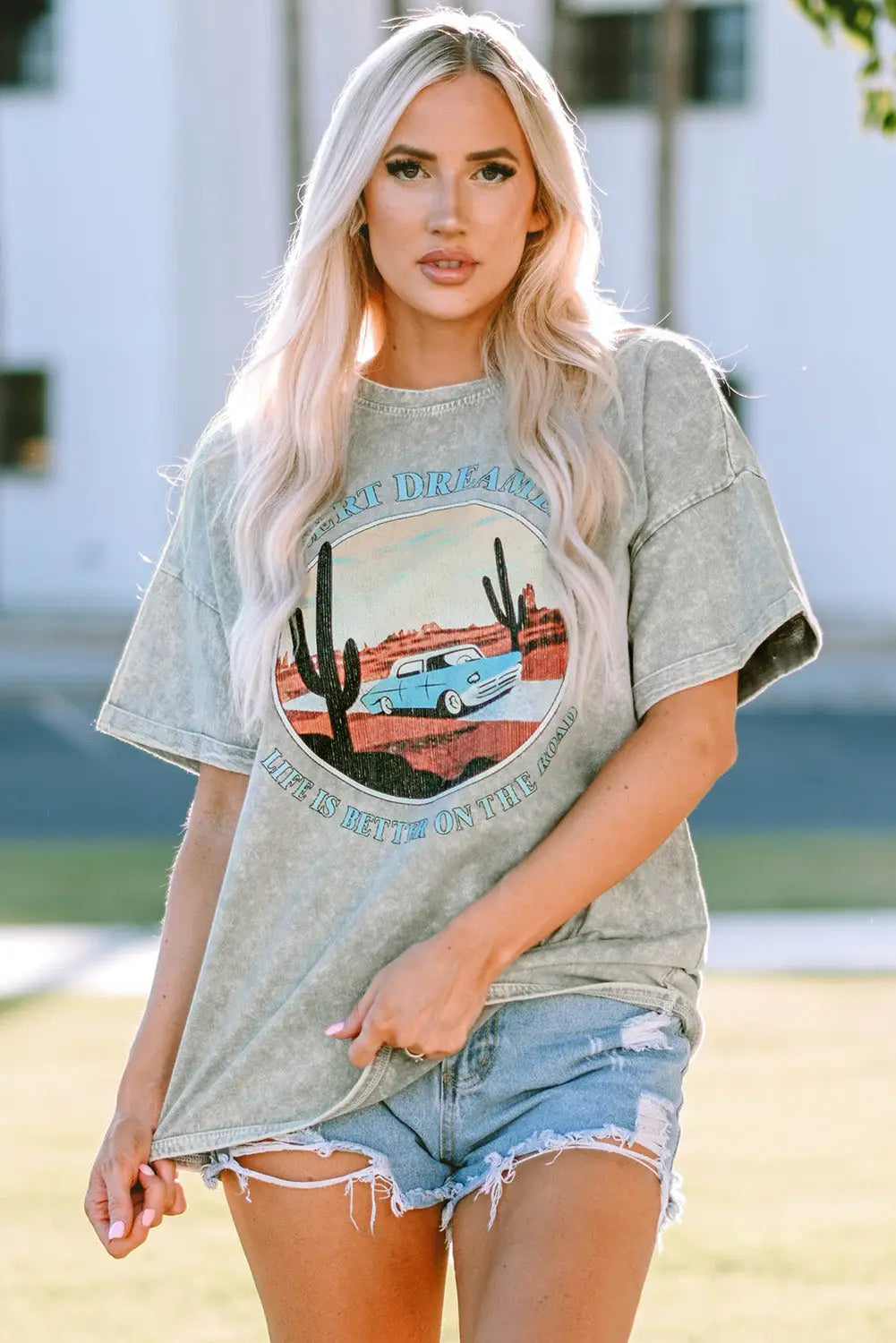 Gray desert dreamer mineral wash graphic tee - s / 100% cotton - t-shirts