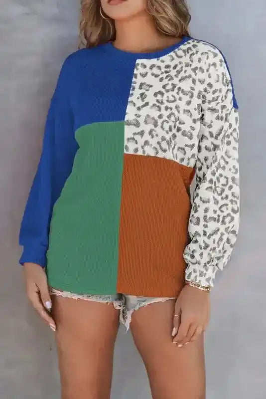 Color block ribbed long sleeve top with leopard print sleeve and front panel, combining blue, green, and rust tones for a chic fall look.