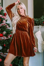 Red Dahlia Velvet Frilled Neck Gigot Sleeve Swing Dress - Fashionfitz