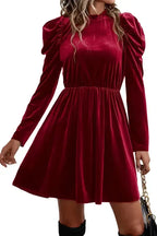 Red Dahlia Velvet Frilled Neck Gigot Sleeve Swing Dress - Fashionfitz
