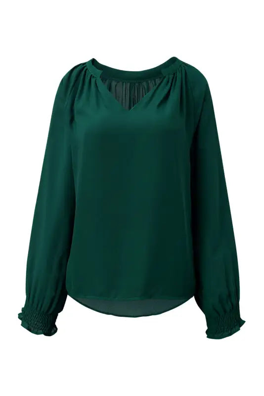 Rose pleated v neck puffy sleeve blouse - tops