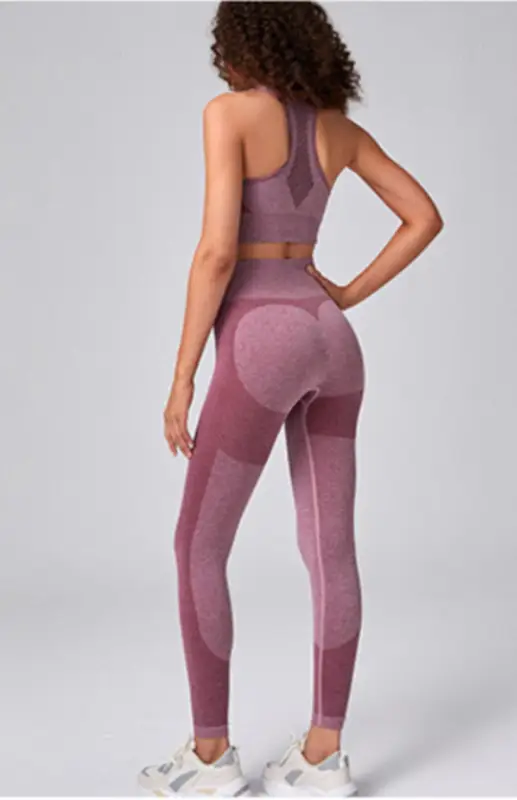 Seamless mesh quick dry bra yoga set - activewear leggings sets