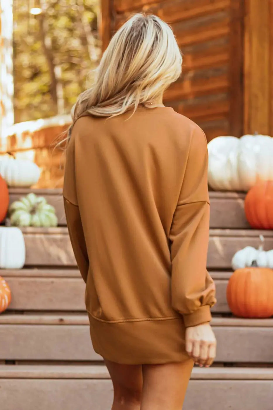 Back view of chestnut Sequin Halloween Graphic Top showing relaxed fit and long sleeves, ideal for cozy autumn style.