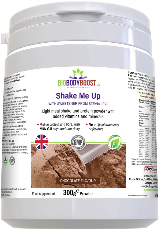 Shake me up (chocolate)- vegan protein meal - diet shakes