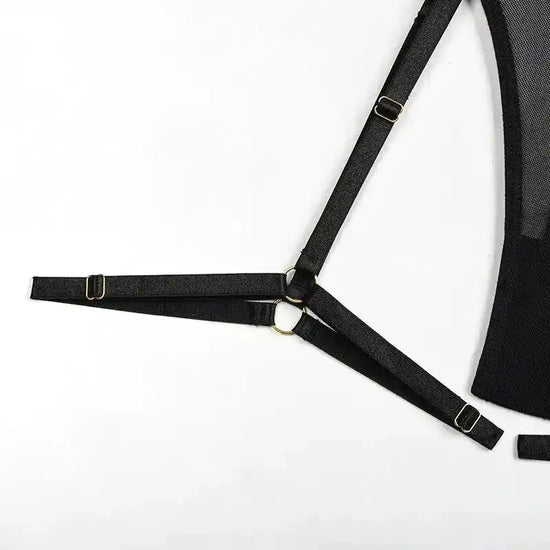 Sheer Mesh Leopard Print Sexy Bustier Set - Fashionfitz