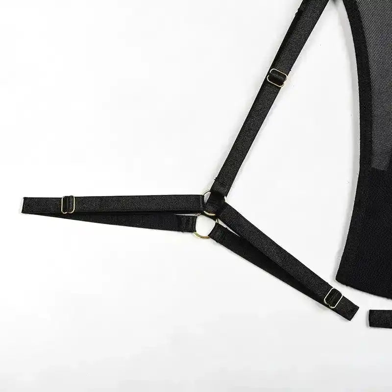 Sheer Mesh Leopard Print Sexy Bustier Set - Fashionfitz