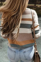 Taupe Classic Round Neck Colorblock Knit Sweater - Fashionfitz