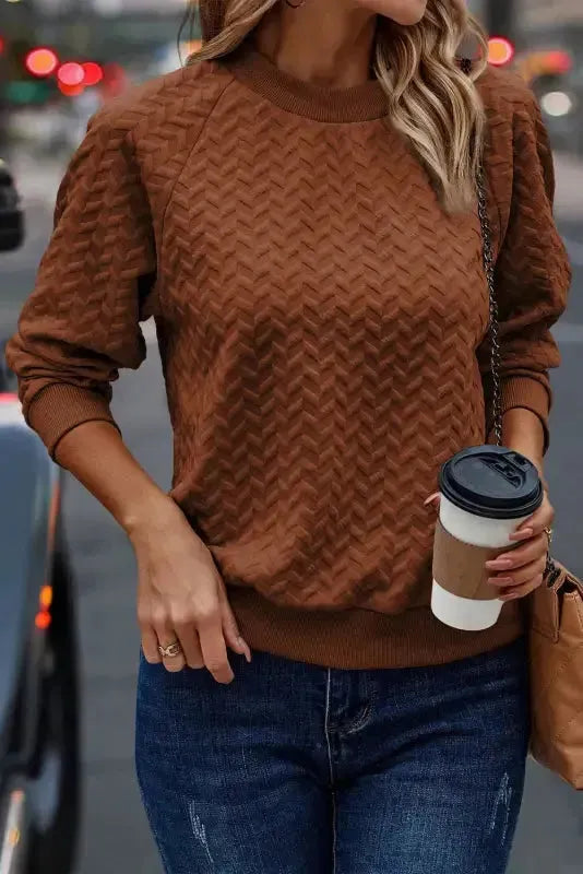 Textured Raglan Sleeve Pullover Sweatshirt - Fashionfitz