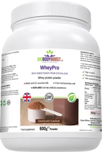 WheyPro (Chocolate) - Whey Protein Powder - Fashionfitz